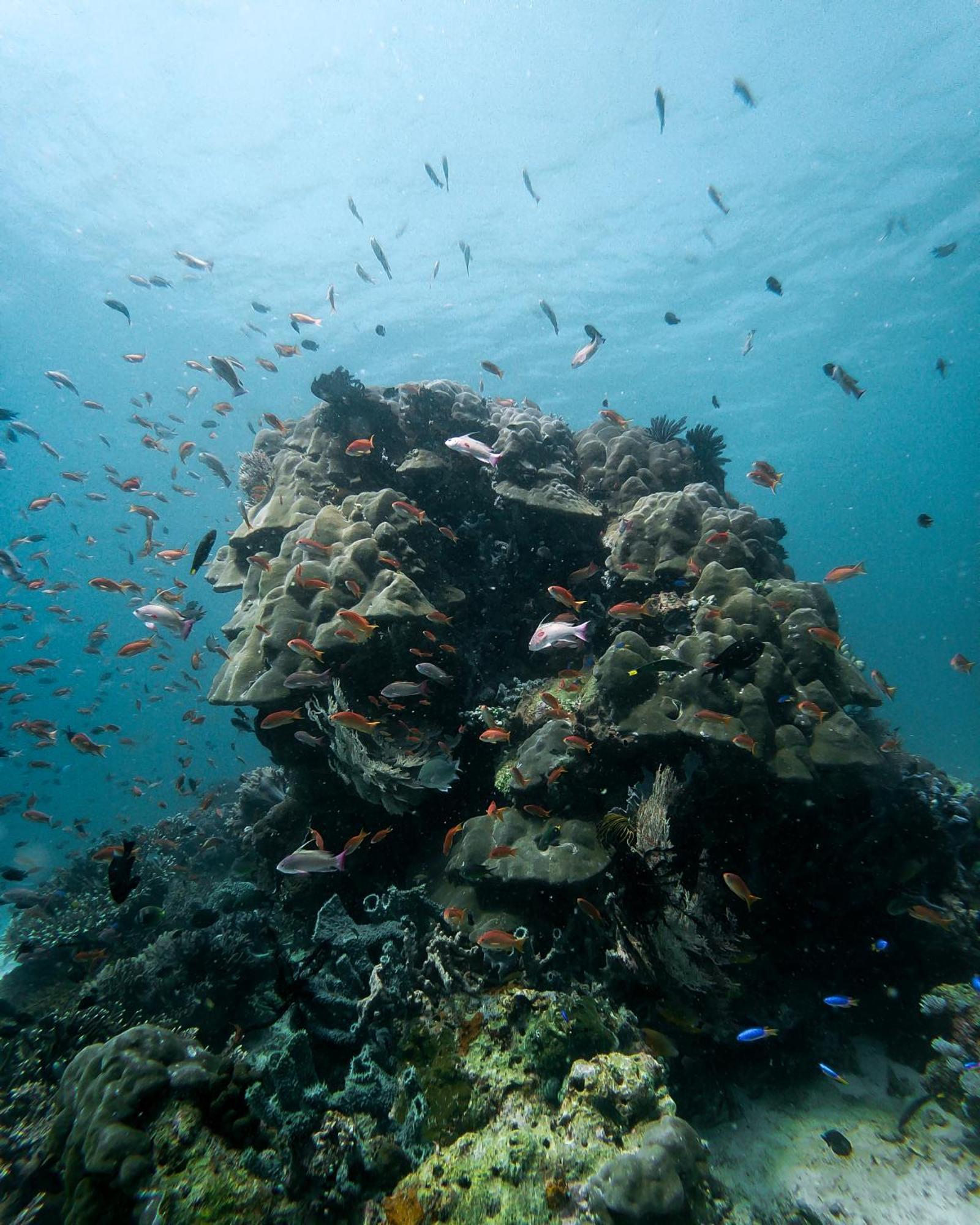 Menjaga Bay Hotell Labuan Bajo Eksteriør bilde