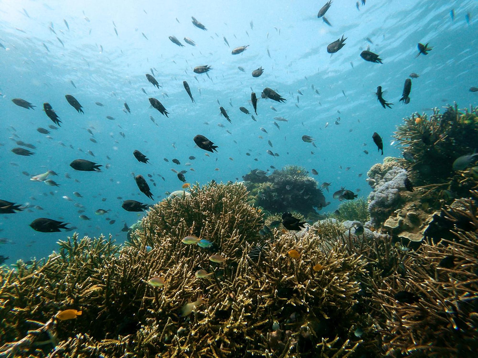 Menjaga Bay Hotell Labuan Bajo Eksteriør bilde